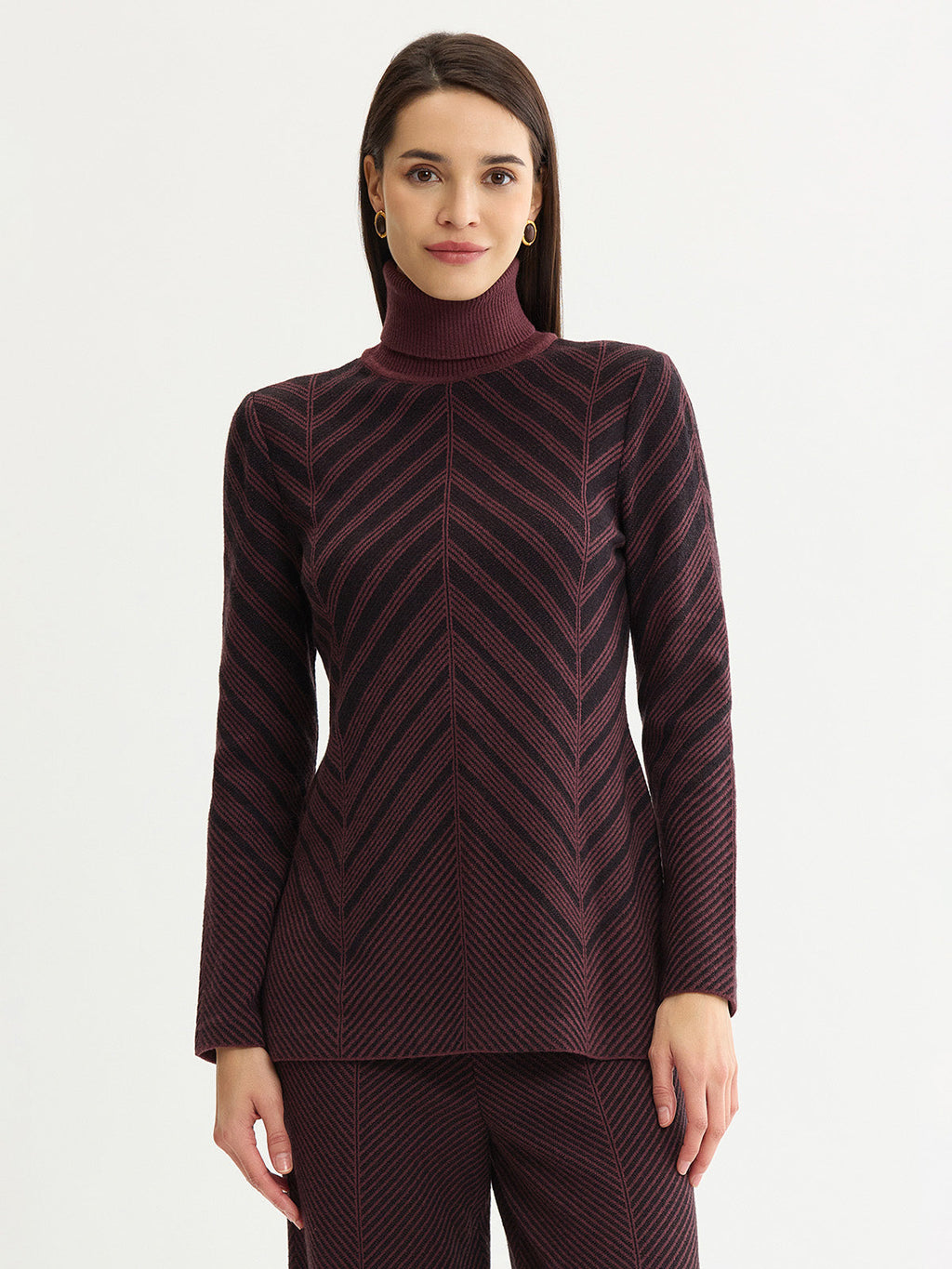 Chevron Turtleneck Knit Tunic