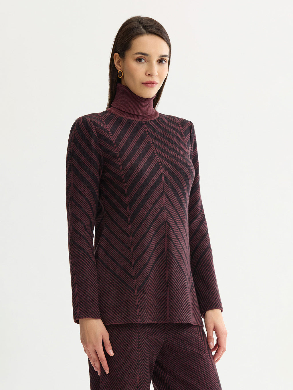 Chevron Turtleneck Knit Tunic
